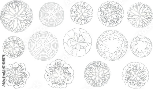 Vector art of collection of stylized topview line drawings of diverse tree types