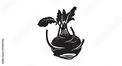 A stark black and white illustration of a kohlrabi root vegetable