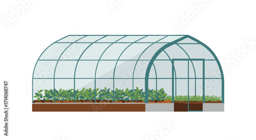 Modern greenhouse gardening structure with lush vegetables on white background