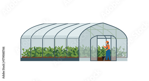 Modern greenhouse with lush vegetation and gardener in action