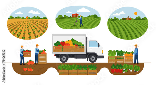 Sustainable farming: agriculture scenes with farm workers and vegetables