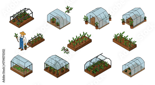 Isometric greenhouse set with plants and gardener: gardening and farming concepts