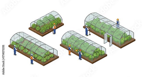 Isometric concept of urban farming with workers in greenhouses