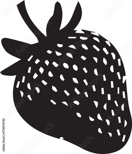 vector illustration of a black turtle