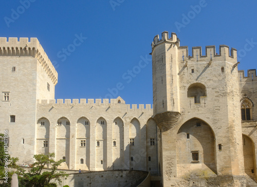 Schilderij op canvas Palais des Papes (Palace of the Popes) in Avignon, France