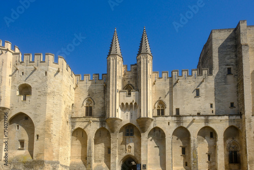 Принти на полотні Palais des Papes (Palace of the Popes) in Avignon, France