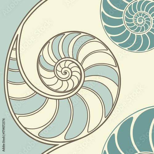Stylized nautilus shell cross section with geometric spiral pattern in calming pastel colors and clean lines