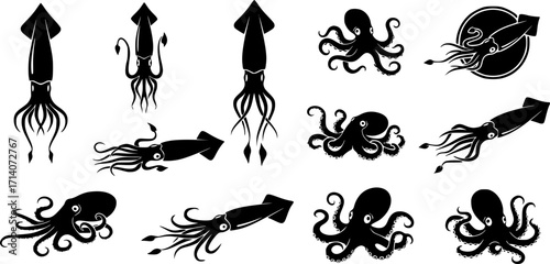 Squid silhouette, Squid svg, Squid clipart, Squid octopus silhouette, Squid vector illustration, Squid icon bundle