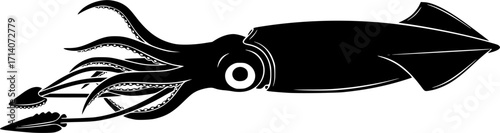 Squid silhouette, Squid svg, Squid clipart, Squid octopus silhouette, Squid vector illustration, Squid icon bundle