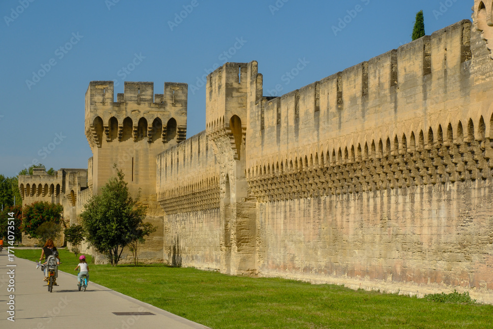 Obraz premium preserved medieval stone fortification wall and gateway, crenellations, and machicolations in Avignon, France