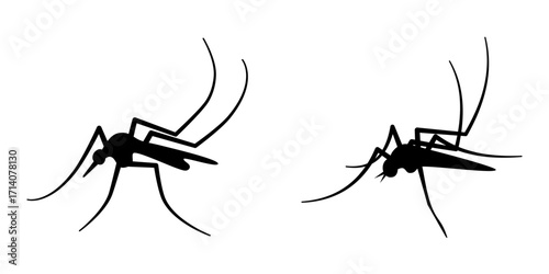 Black silhouette of a mosquito on white background, showing detailed body structure with thin legs, narrow wings, and long proboscis. This isolated insect shape represents themes of tropical disease.
