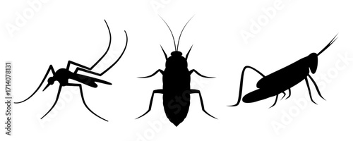 Collection of insect silhouettes including an ant, a cockroach, and a grasshopper isolated on a white background.