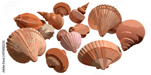 Create a highly realistic, high-resolution image of a collection of assorted sea shells suspended in mid-air or artistically arranged on a clean white background. Include a variety of shell types such