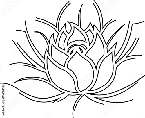 Geometric Lotus Flower Set – Minimalist Floral Vectors for Web & Print