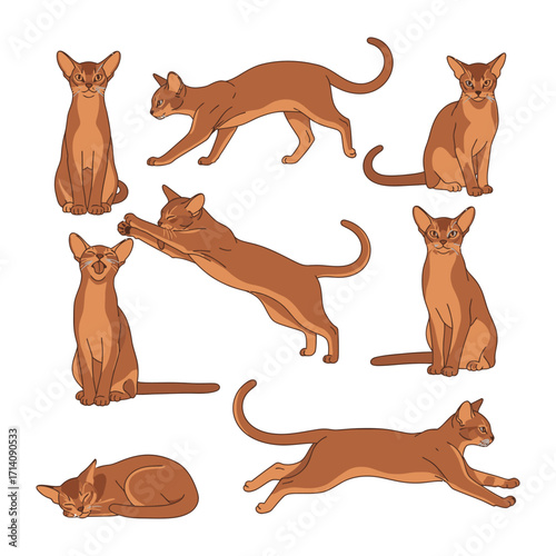 Playful Cat Illustrations: An artful collection of captivating illustrations of a ginger cat demonstrating graceful movements across multiple poses. Showcasing elegance in every posture.