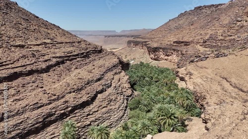 Aerial drone view of lush green oasis hidden in rocky desert canyon in Mauritania