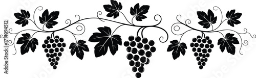 Black and white silhouette of grapevine with clusters of grapes and curling tendrils, decorative botanical illustration, vineyard, nature, vintage style.