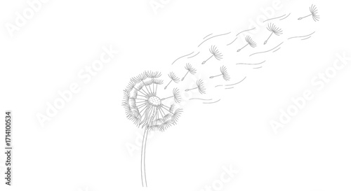 Dandelion Seeds Blowing in the Wind Line Art Illustration