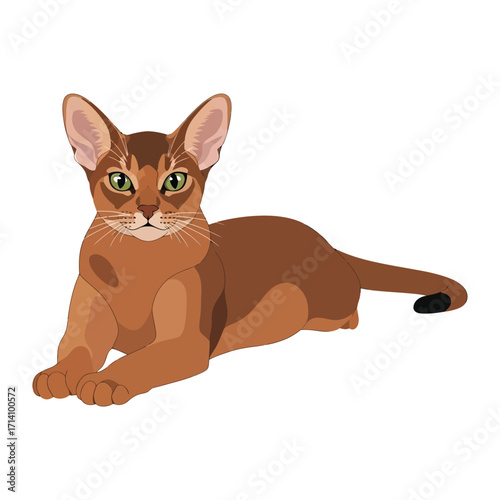 Abyssinian Cat: A captivating illustration of an Abyssinian cat, its sleek coat glistening, displaying an elegant repose and poised gaze.