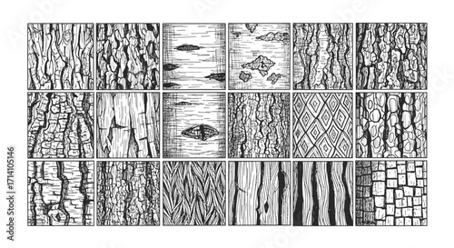 Diverse Hand Drawn Tree Bark Textures Patterns - Black and White Nature Illustration