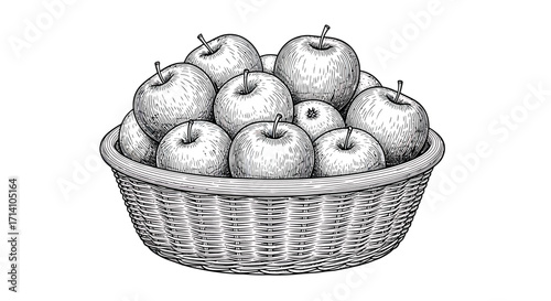 Vintage Engraved Apples in Wicker Basket Line Art Illustration