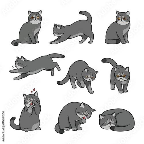 Playful Cat Collection: A charming illustration of various expressive cat poses, each capturing unique movements and emotions