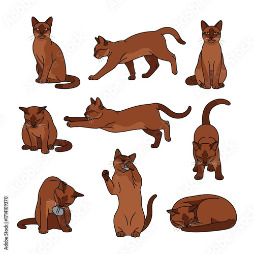 Playful Brown Cat in various poses: Delightful illustration of a curious brown cat in a variety of engaging postures. The illustration encapsulates the essence of feline charm and activity.