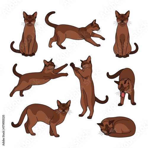 Playful cat poses: A vibrant, artistic illustration presents a collection of dynamic poses of a brown cat, showcasing its agility and expressive nature.