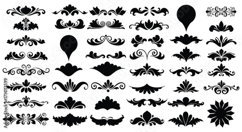 Collection of elegant black floral and ornamental design elements displayed artfully