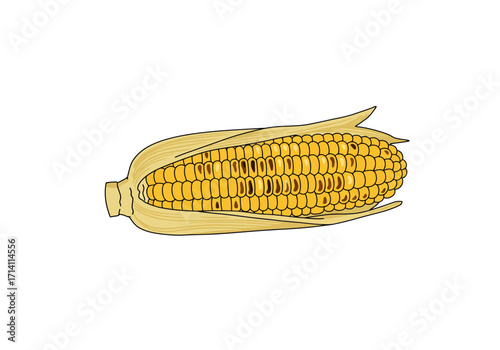 A cartoon ear of corn with yellow kernels and husk