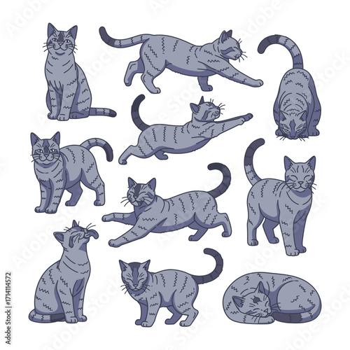 Various cat poses and actions, showcasing the domestic cat with a touch of cartoon charm. From walking gracefully to stretching in a carefree manner.