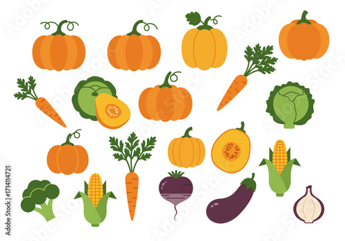 Assorted vegetables including pumpkins carrots cabbage corn broccoli eggplant beet and onion
