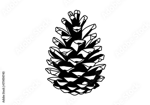 Black and white illustration of a pine cone