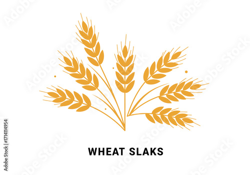 Yellow wheat stalks arranged in a fan shape on a white background