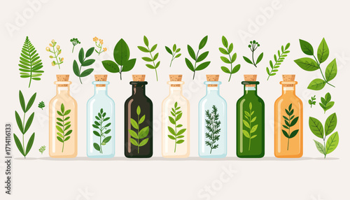 Natural Herbal Remedies and Essential Oils for Wellness and Health