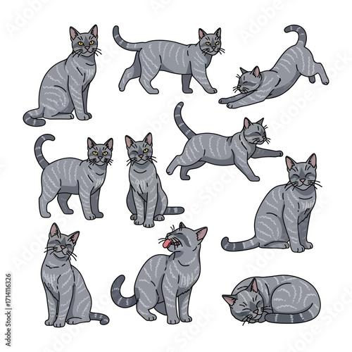 Playful Cats in Assorted Poses: A collection of adorable cartoon cat illustrations showcases the diverse charm of these feline companions, presenting them in a variety of engaging and playful stances.