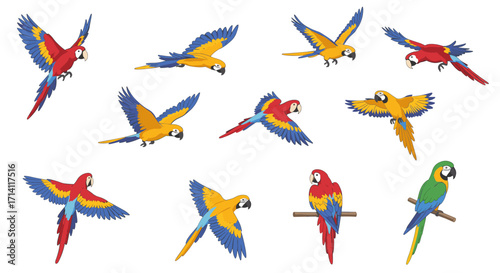 Vibrant parrots in flight and perched on branches