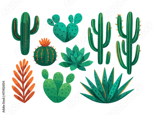 Variety of colorful cacti and succulents on white background