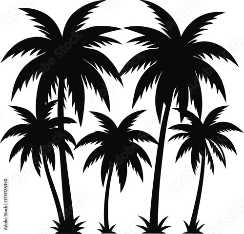 a-collection-of-black-palm-tree-silhouettes-on-a-w (4).eps