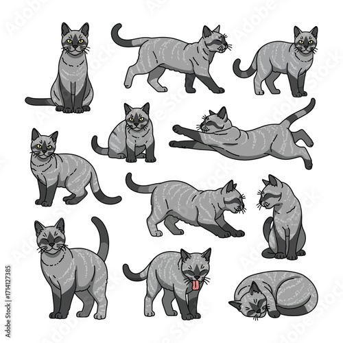 Diverse Cat Poses Set: A collection of cat illustration displaying various poses, demonstrating the cat's playful and graceful nature