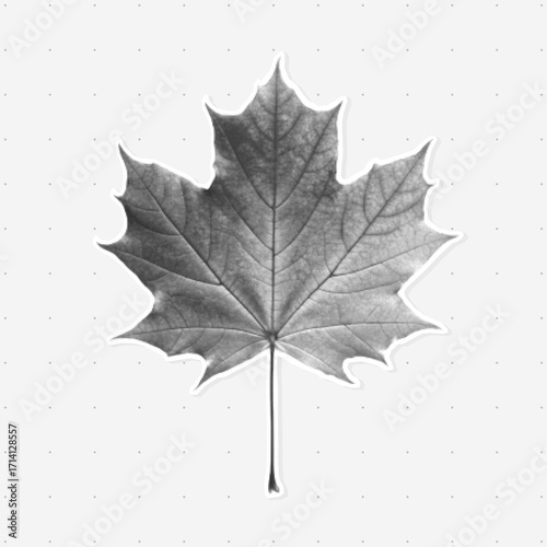Maple leaf sticker with vintage halftone texture. Ideal for botanical art, mixed media collage, digital scrapbooking, retro prints, and seasonal design projects.