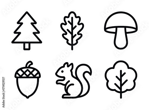 Simple black line icons of forest elements: pine, oak, mushroom, acorn, squirrel, tree