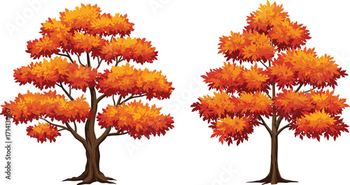 Autumn foliage trees, vibrant fall leaves, seasonal canopy contrast, stylized vector, nature illustration, botanical design, garden decor, deciduous trees