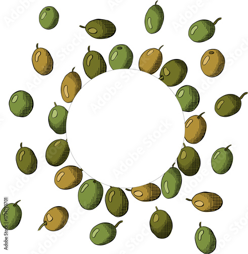 Hand drawn wreath with ripe Olive berry circle round frame template. Vector graphic line ink colored illustration. Banner, poster, wrapping paper, sticker, print, modern textile design.