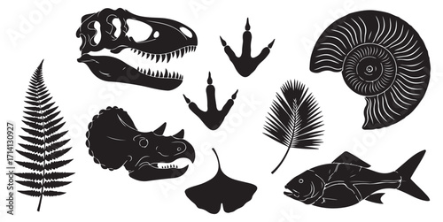 A collection of vector silhouettes of various prehistoric fossils and natural history elements.