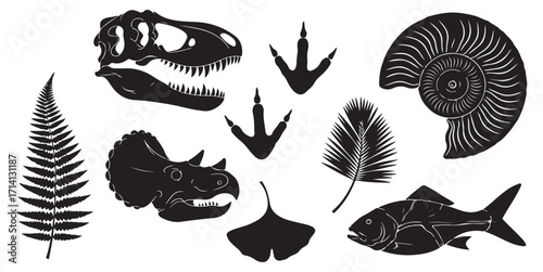 A collection of vector silhouettes of various prehistoric fossils and natural history elements.