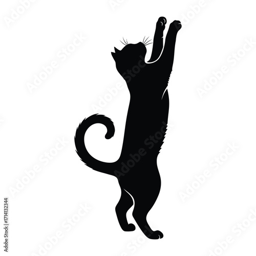 Playful Cat Silhouette: This minimalist silhouette showcases a cat standing upright, paws raised in an amusing pose of playfulness, and captivating the eye with its charming depiction.
