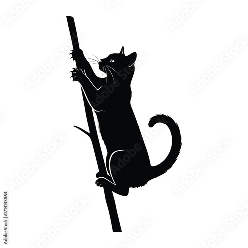 Black cat climbing a Tree Branch: A sleek silhouette of a black cat confidently ascends a tree branch, a symbol of agility and playfulness set against an illustrative, minimalist backdrop.