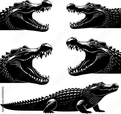 Crocodile Collection: Black and White Graphics