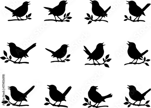 Bird vectors, Bird art, Bird silhouette, and a set of Bird, Bird black color silhouettes

